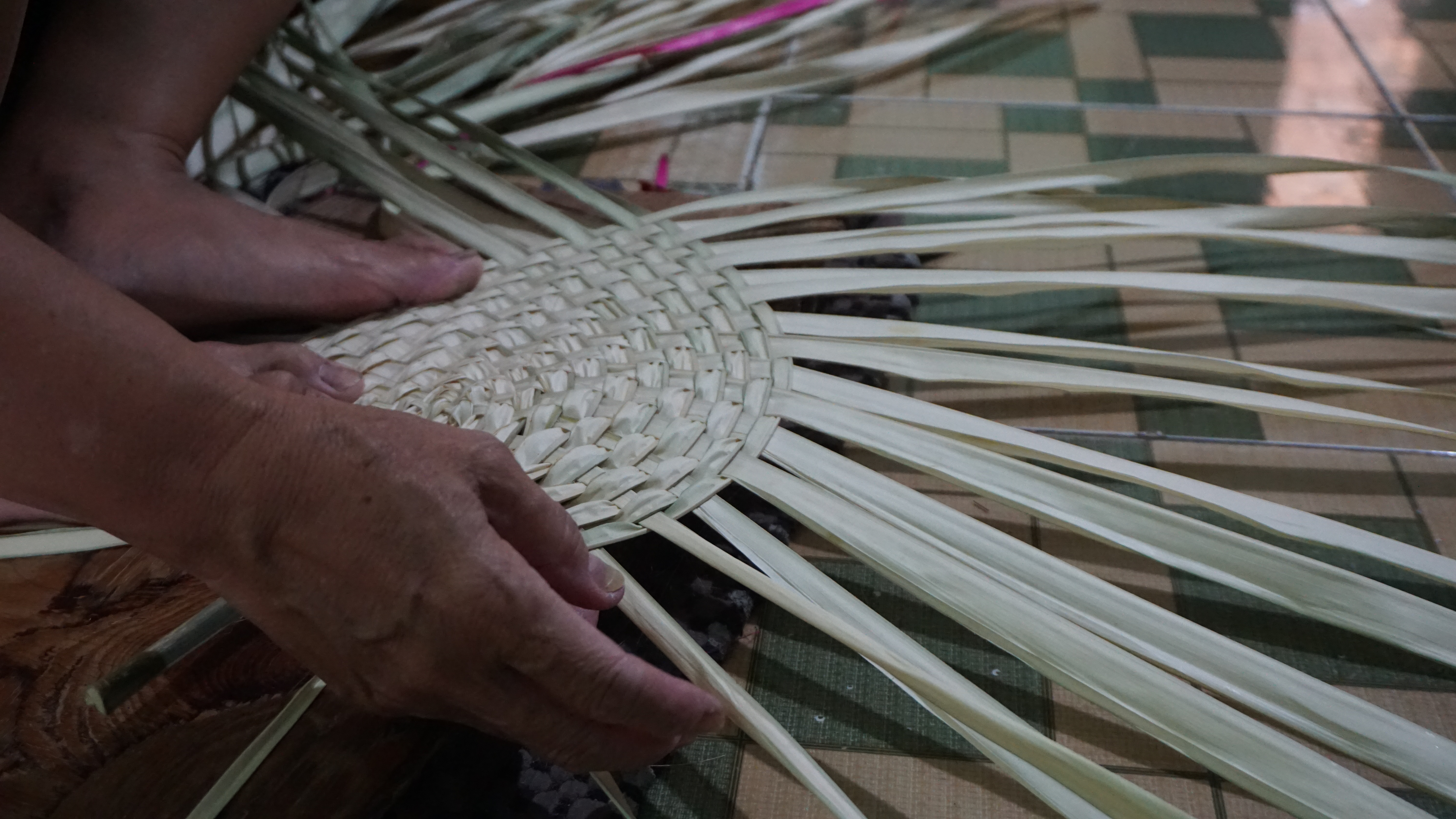 Những chiếc quạt đưa miền ký ức